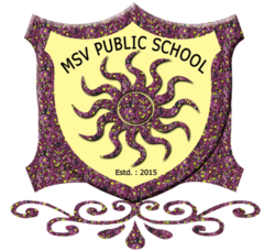 MSV Public School